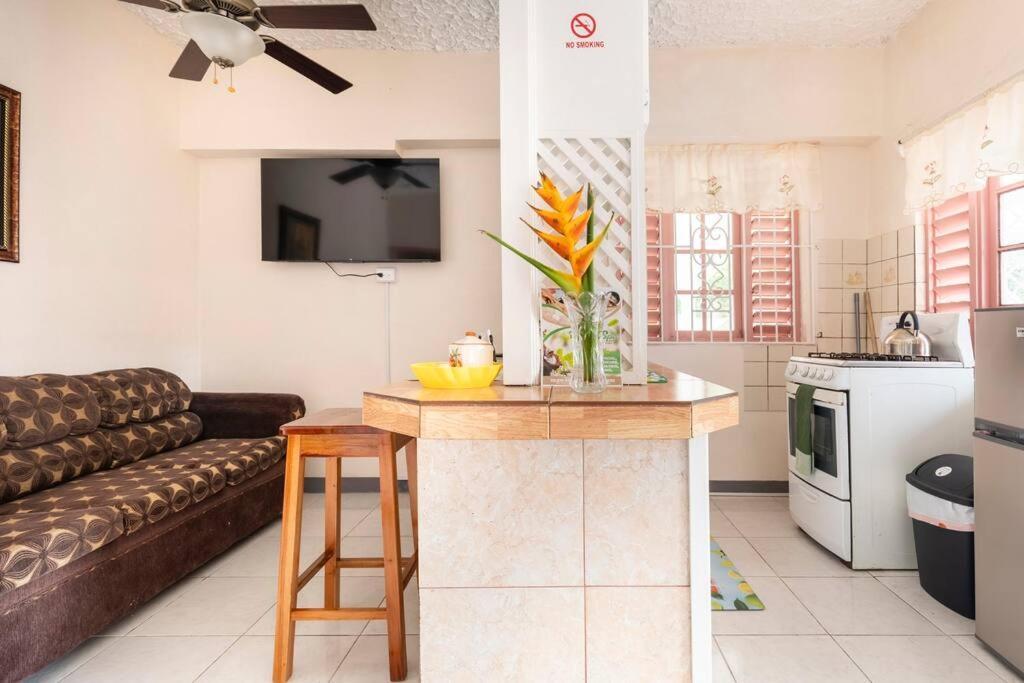 Shaw Park Gem Apt 12A Ότσο Ρίος Εξωτερικό φωτογραφία